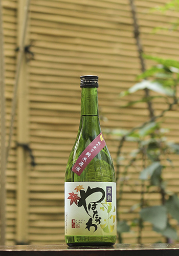 八幡川(やはたがわ)　秋の走り　蔵熟　純米原酒