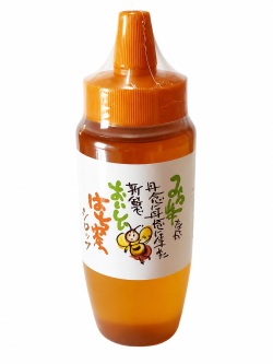 おいしいはち蜜500gペット