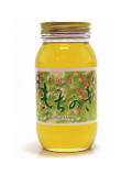 国産もちのき蜜（福岡県産）1000ｇ