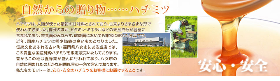 トップページ　バ－ナー