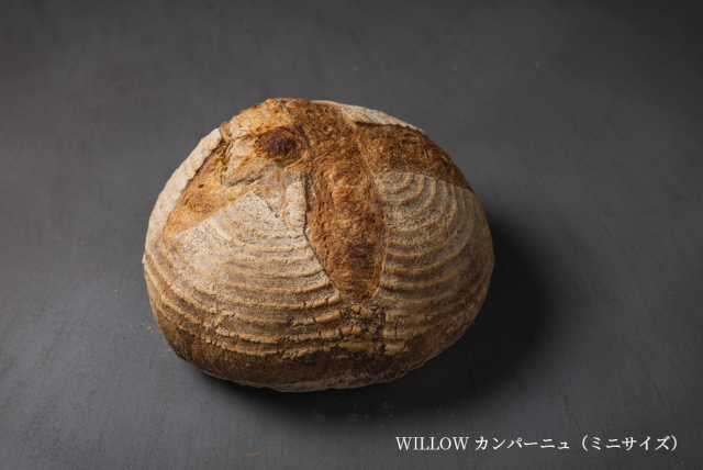 パン4