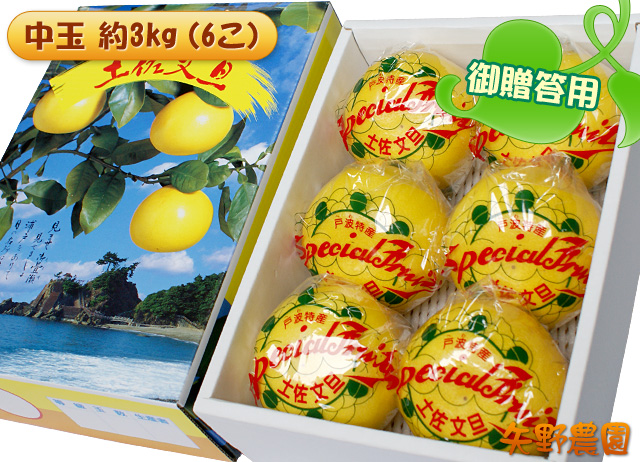 土佐文旦(ぶんたん)御贈答用中玉約3kgムッキーちゃん1個付き（6こ