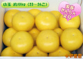 家族だんらん家庭用小玉約10kg入(粒ぞろい23~26こ)送料無料※一部地域を除く