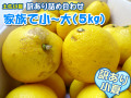 ４月下旬解禁！「土佐小夏」家庭用 詰め合わせ家族団のひと時にどうぞ！5kg（40玉～25玉）