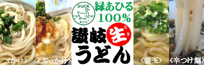 緑アヒル讃岐うどん