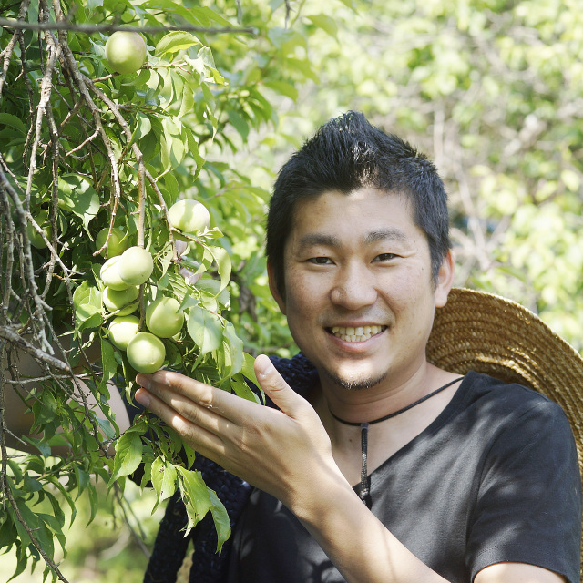 【無農薬・自然栽培】 紀州南高梅 10kg・和歌山県産 青梅 gj-ume450-n-10k.jpg