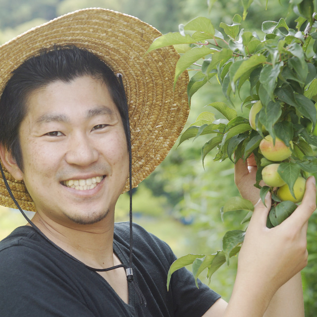 生梅の産地直送（産直）通信販売（通販） 紀州無農薬生梅 梅