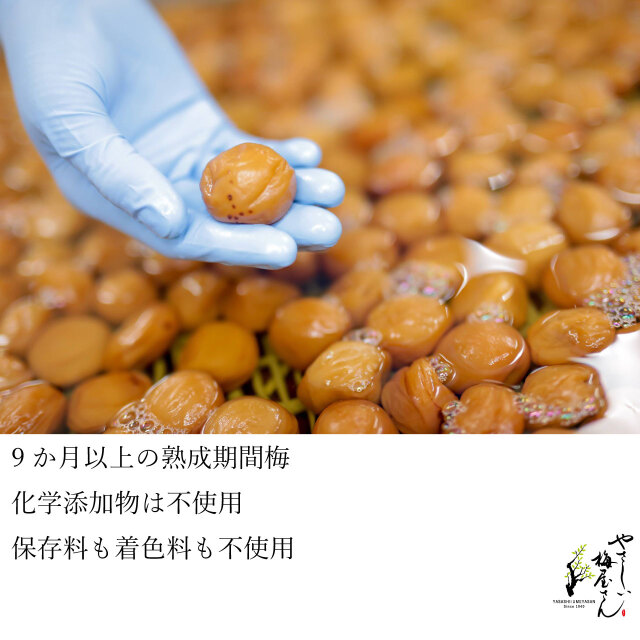 紀州 和歌山より有機栽培（無農薬・無化学肥料）で育てた南高梅を種を