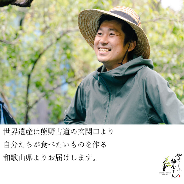 超お買い得‼️大容量20kg‼️たけのこ★完全無農薬★和歌山産 青梅 南高梅 無農薬 20Kgのお取り寄せ販売（通販）送料無料でお届け