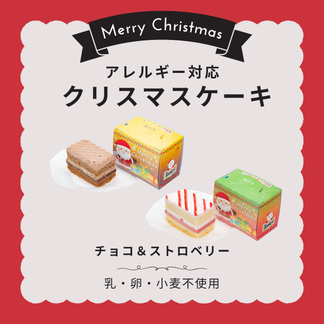 クリスマスケーキ　チョコ＆ストローベリー30gx各5個（アレルギー対応　乳・卵・小麦不使用）