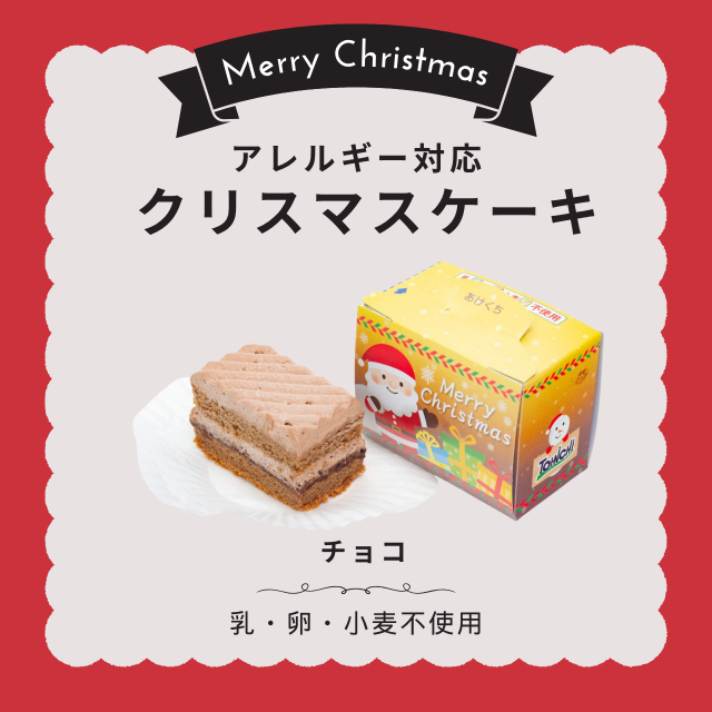 クリスマスケーキ　チョコ30gx10個（アレルギー対応　乳・卵・小麦不使用）