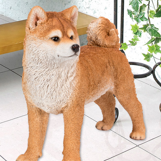 左向き 秋田犬 （大） inu