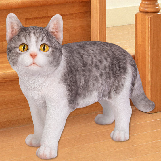 見上げるサバトラ白猫 neko