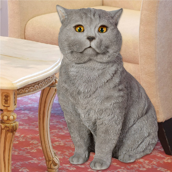 お座りブリティッシュショートヘアー neko