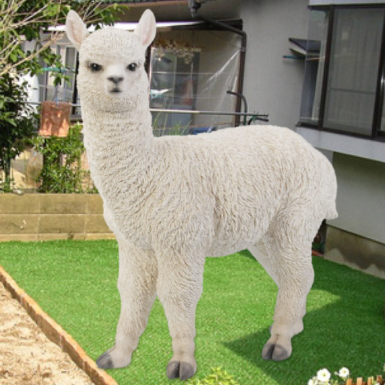 左向きに立つアルパカ（大） animal