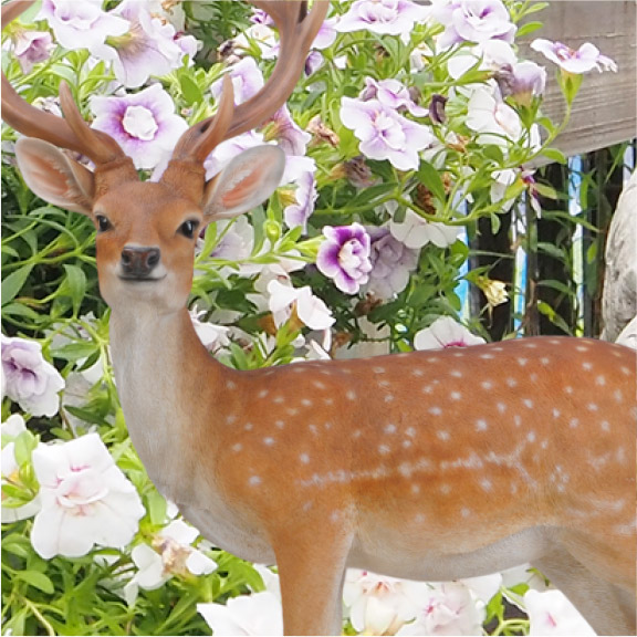 エゾジカ（特大） animal