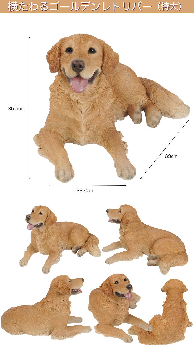 横たわるゴールデンレトリバー inu