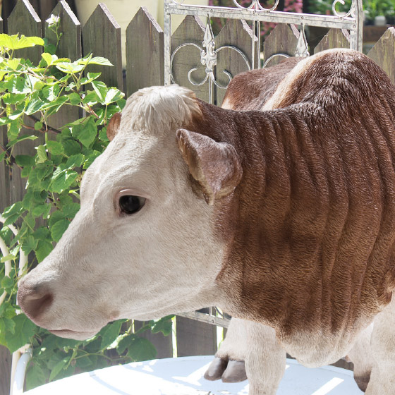 立っている牛ブラウン（特大） animal