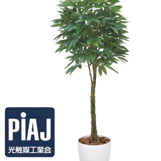 人工観葉植物 バキラ1.6