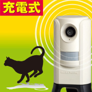 62162-photo.jpg