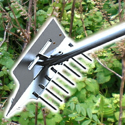 雑草退治 草と～る