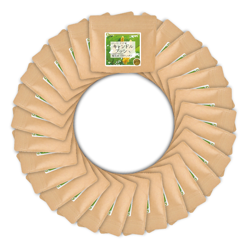 キャンドルブッシュ(インド産)純度100%パウダー【2,240g(80g×28個)】