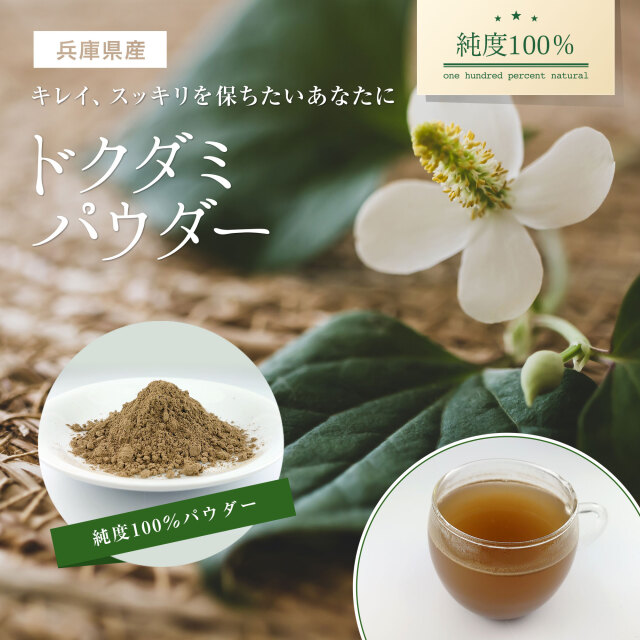 ドクダミ純度100%パウダー【800g(100g×8個)】 | 健康・野草茶