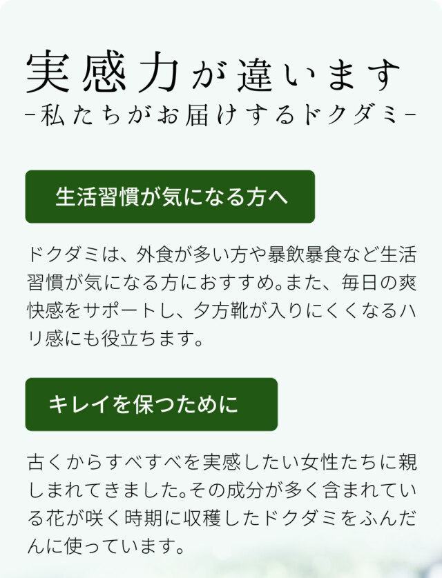 実感力が違います 私たちがお届けするドクダミ1