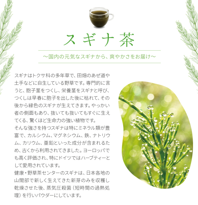 スギナ純度100%パウダー【200g(100g×2個)】 | 健康・野草茶センター
