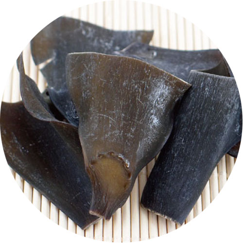 アルギン酸とフコイダンが豊富な根昆布