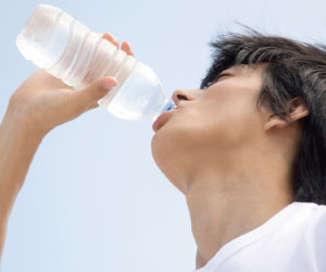 種もわたもまるごとパウダーに