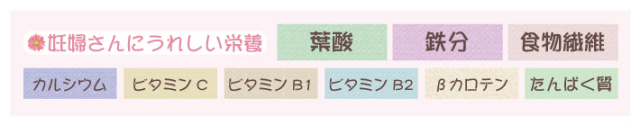 妊婦さんにうれしい!!栄養補給をお手軽に