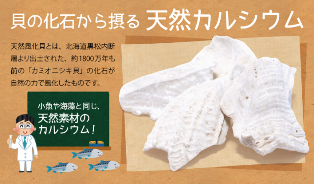 天然風化貝カルシウム純度100%パウダー【120g】 | 健康・野草茶