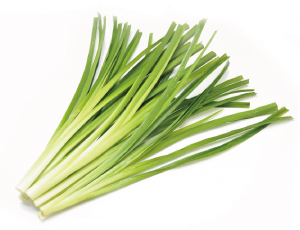 クワンソウの茎、葉をまるごと