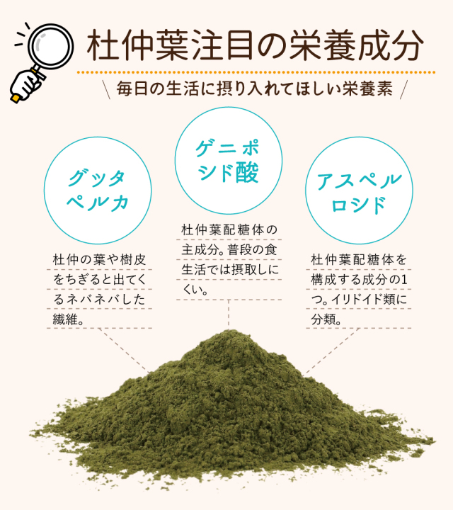 杜仲葉注目の栄養成分