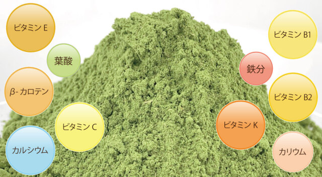 奈良県産大和当帰葉パウダーの栄養成分