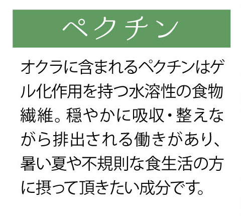 オクラの栄養素 ペクチン