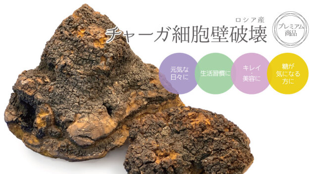 チャーガ細胞壁破壊超微粒（ロシア産）