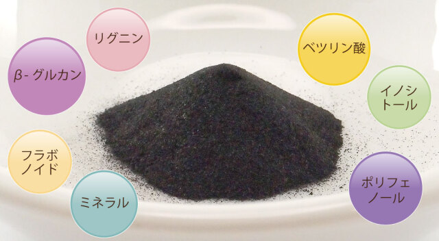 ロシア産チャーガ細胞壁破壊超微粒の栄養成分