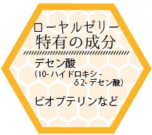 中国浙江省産 生ローヤルゼリーの栄養成分2