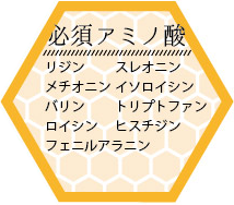 中国浙江省産 生ローヤルゼリーの栄養成分3