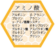 中国浙江省産 生ローヤルゼリーの栄養成分4