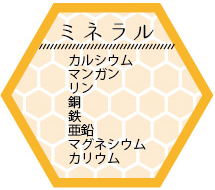 中国浙江省産 生ローヤルゼリーの栄養成分6