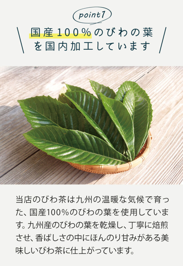 国産100％のびわの葉を国内加工しています