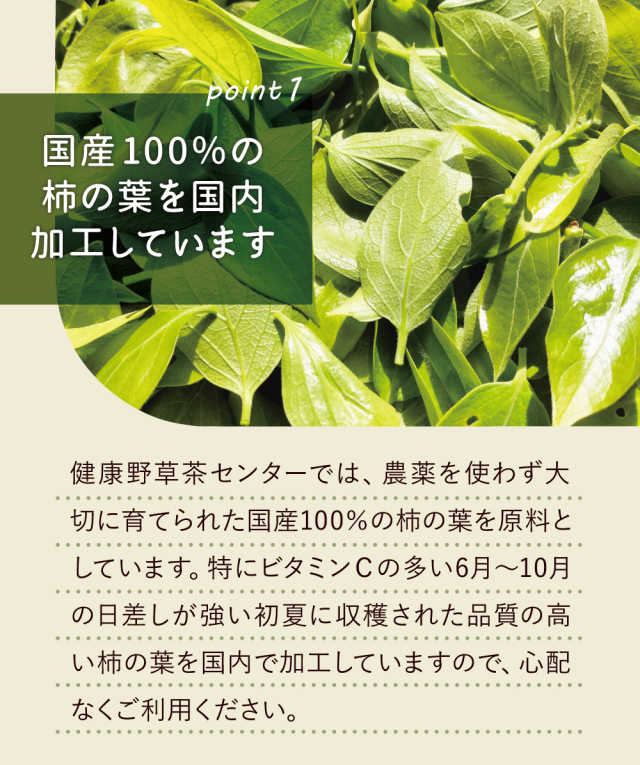 柿の葉茶　野草茶 柿の葉茶ティーパック（国産）【2g×160包】 健康・野草茶センター