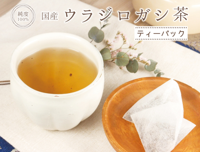 ウラジロガシ茶ティーパック（国産）【2g×30包】 | 健康・野草茶