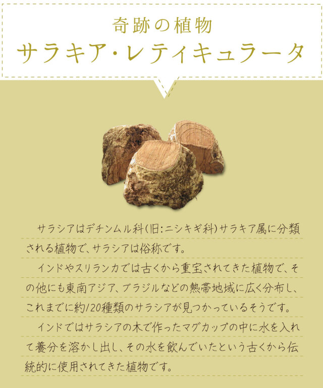 奇跡の植物サラキア・レティキュラータ