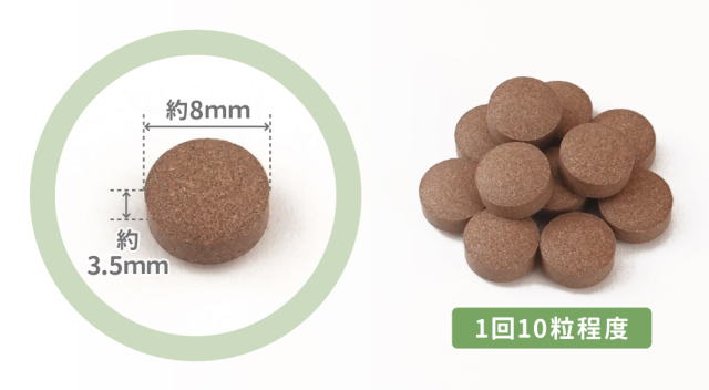 サラシア粒(インド産)【150g／約750粒】 | 健康・野草茶センター