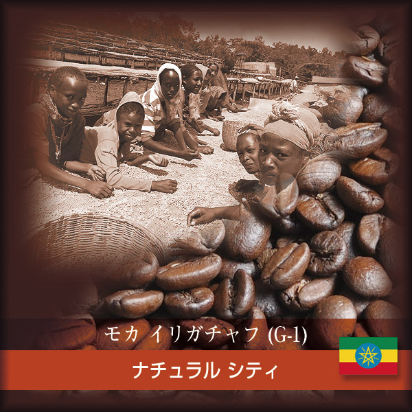[受注後焙煎]　モカ  イリガチャフ (G-1)　ナチュラル　チェルベサ (100g単位)　【ゆうパケット可】　