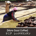 [ 受注後焙煎 ]　【More Good Coffee】ケニア レッドマウンテン (TINGANGA農園)　(200ｇまたは500g単位) 　【ゆうパケット可】